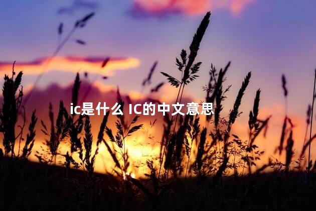 ic是什么 IC的中文意思